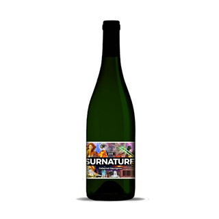 Les Vintrépides Wijn bordeaux rood zonder sulfieten «le surnaturel» 100% carbernet sauvignon bio 75cl - 8034